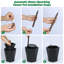 Planter-535990839