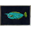 Mu Mu 1 Piece Wrapped Canvas Painting-19085334