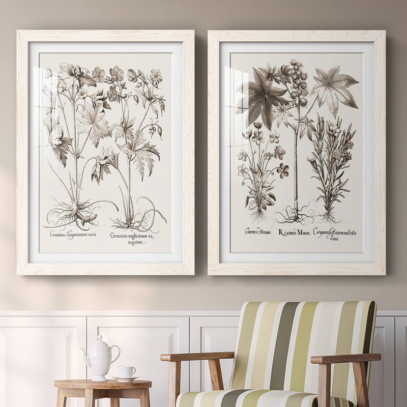 Sépia Besler Botanicals V-Premium, reproduction encadrée - prête à être accrochée, H 27,5 po x l 75 po x P 1,5 po, Blanc