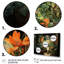 «Bathroom & Fresh Fresh Botanicals I», impression d'art mural-284530736-284530752