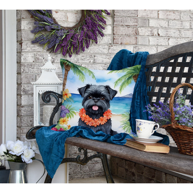 Other/No Pattern Outdoor Throw Pillow, 18"H x 18"W