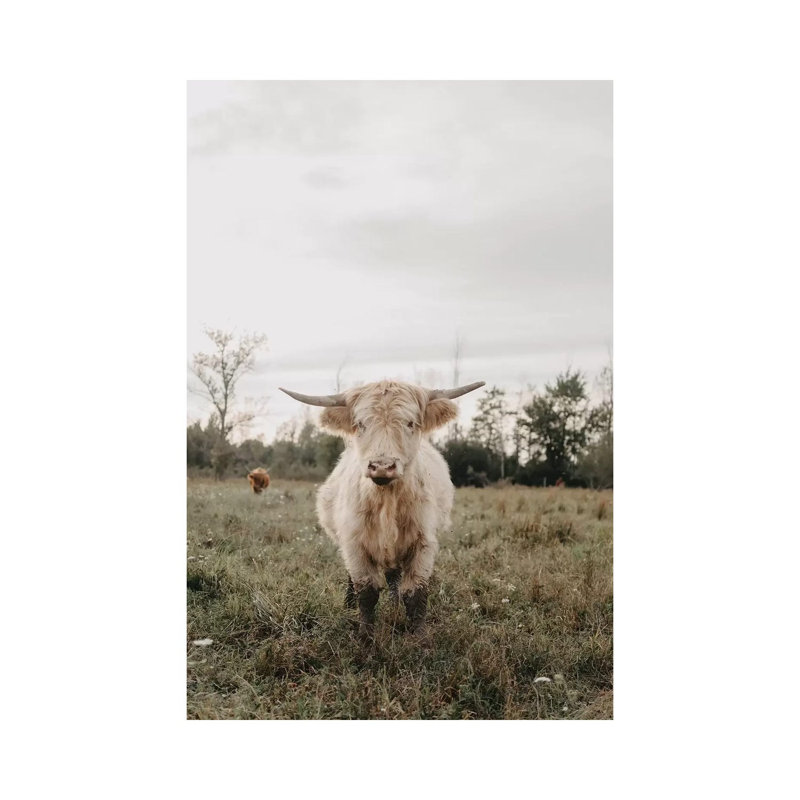 «The Highland Cow» par Chelsea Victoria - photographie sur toile tendue, H 40 po x l 26 po x P 1,5 po