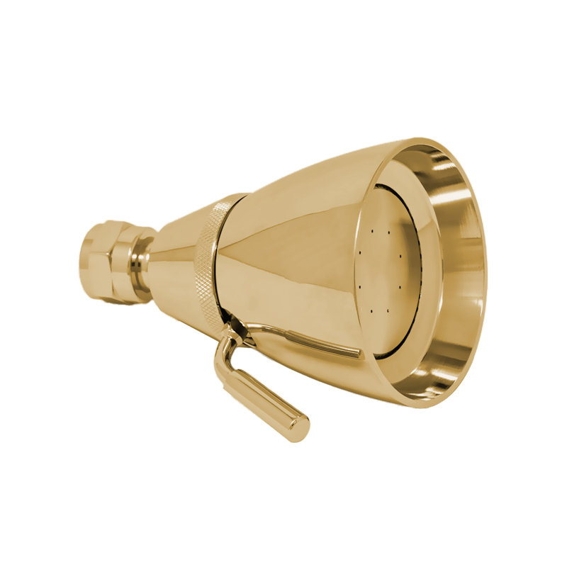 Shower Head 3" Diameter, Unlacquered Satin Brass