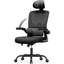 Motonobu Ergonomic Office Chair with Mesh Lumbar Support-631788498