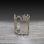 Fortney Glass Top End Table