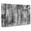 Montana Forest - Wrapped Canvas-56633351
