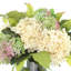 Hydrangea in Vase