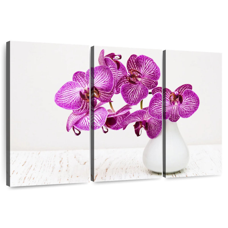 Orchidées Harnek dans un vase, H 36 po x l 57 po