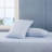 Tommy Hilfiger Printed Percale Cotton Sheet Set-123853707-109401995