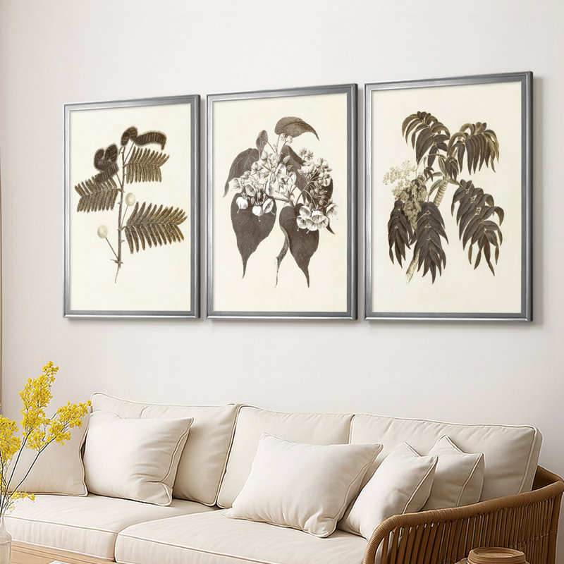 Sépia Botanicals I - Toile tendue avec châssis sur mesure - 3 pièces, Argent argent, H 21 po x l 30 po