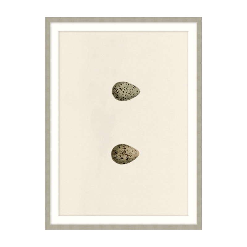 Unhatched 1 Illustration by Studio L57 Nouvelle, 20" H x 16" W