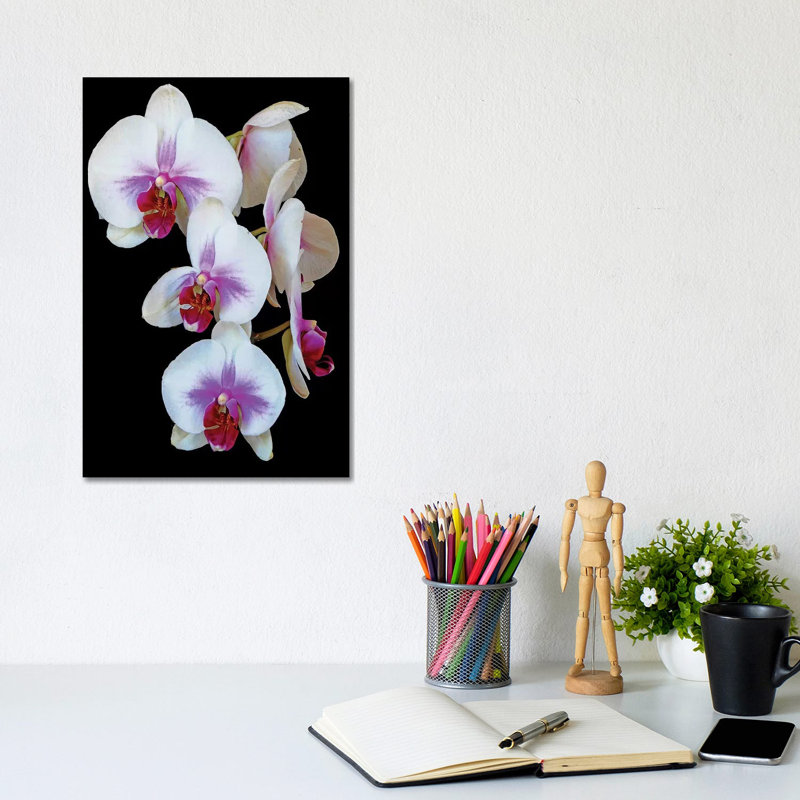 Orchids 1 Piece Wrapped Canvas Wall Art, 30.48cm H x 20.32cm W