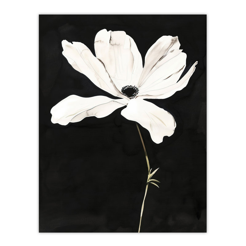 Flower Bloom Black Background Watercolour Wall Art Print