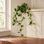 45 cm H Faux Plant-127680958