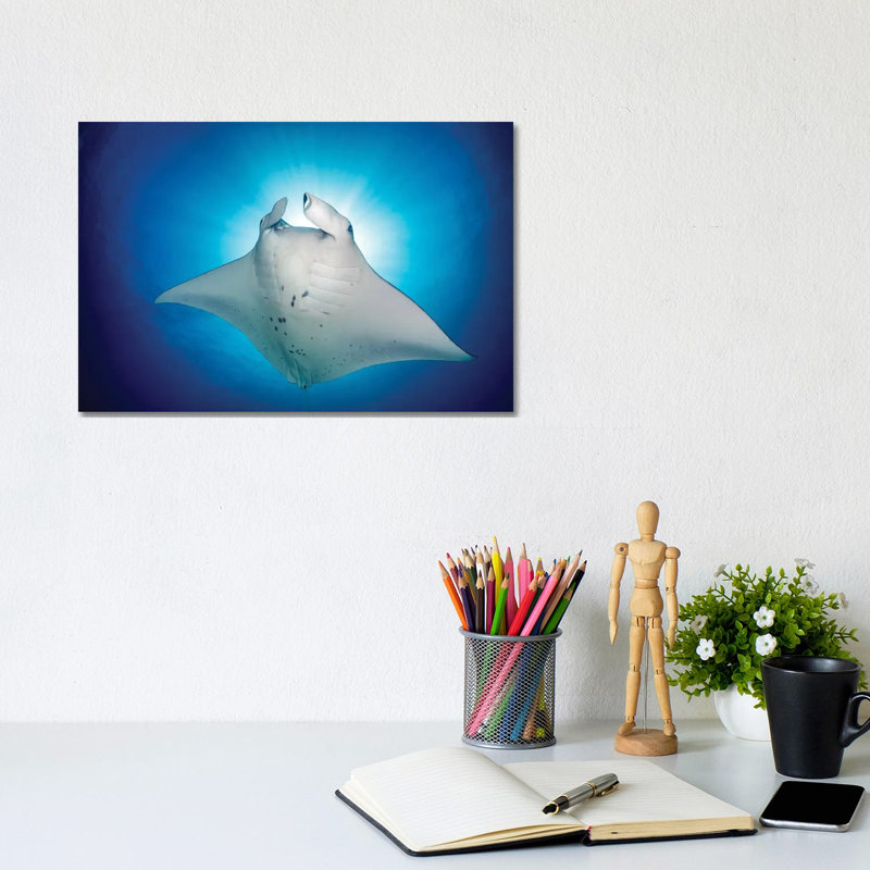 Manta Ray Magic by Jordan Robins - Wrapped Canvas Print, 20.32 cm H x 30.48 cm W