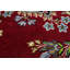 Tapis oriental rouge traditionnel 10X13 Kerman