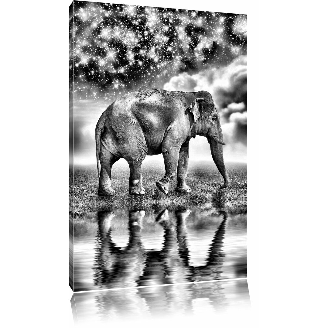 Leinwandbild Elefant mit Sternenhimmel in Monochrom