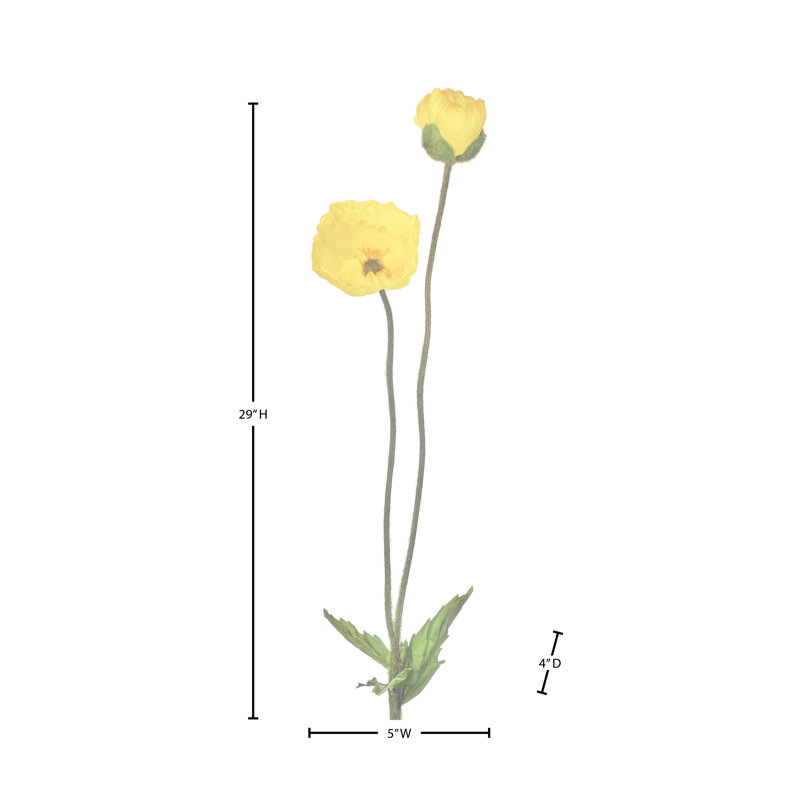 Coquelicot d'été + bourgeon 29 po , Jaune