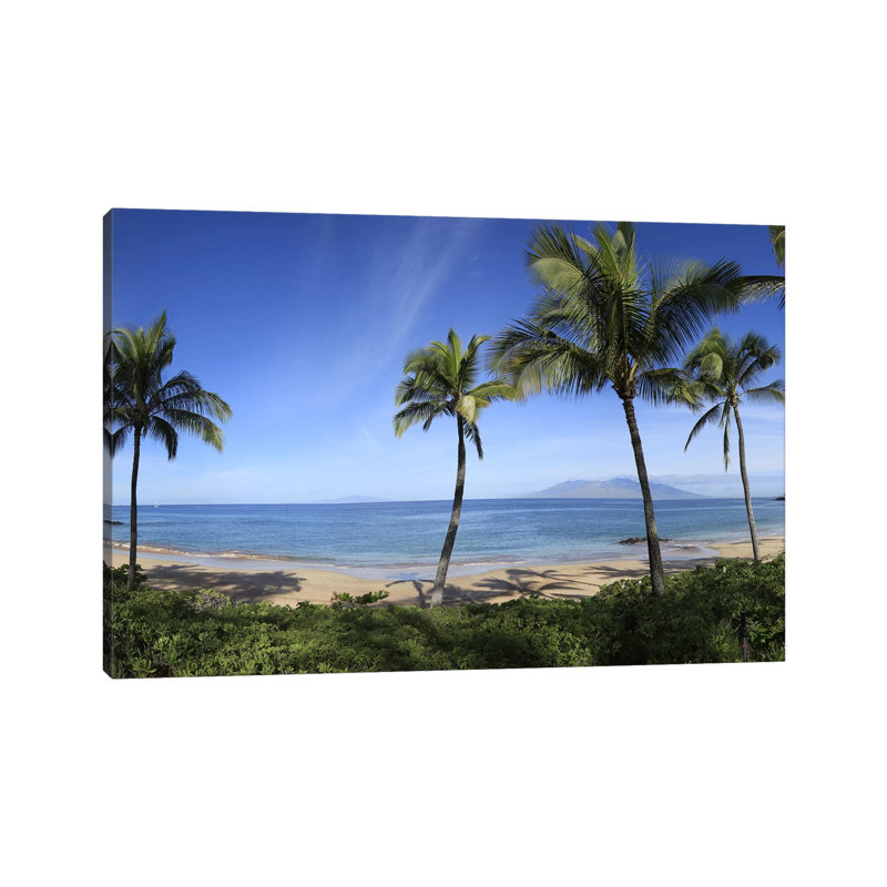 Palmier bordé de plage, Maui, Hawaii, États-Unis - reproduction de photo, H 40 po x l 60 po x 1,5 po, Toile tendue