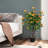 102cm Faux Flowering Tree in Cement Pot