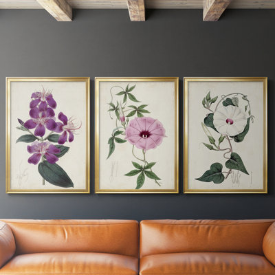 Garden Gems IV  -Custom Framed  Wrapped Gallery Canvas - 3 Pieces