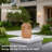 Outdoor Solar Rattan-Style LED Lantern With Handle