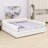 Smart Upholstered Platform Bed Featuring USB Ports and Convenient Drawers-553188254