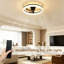 Ceiling Fan