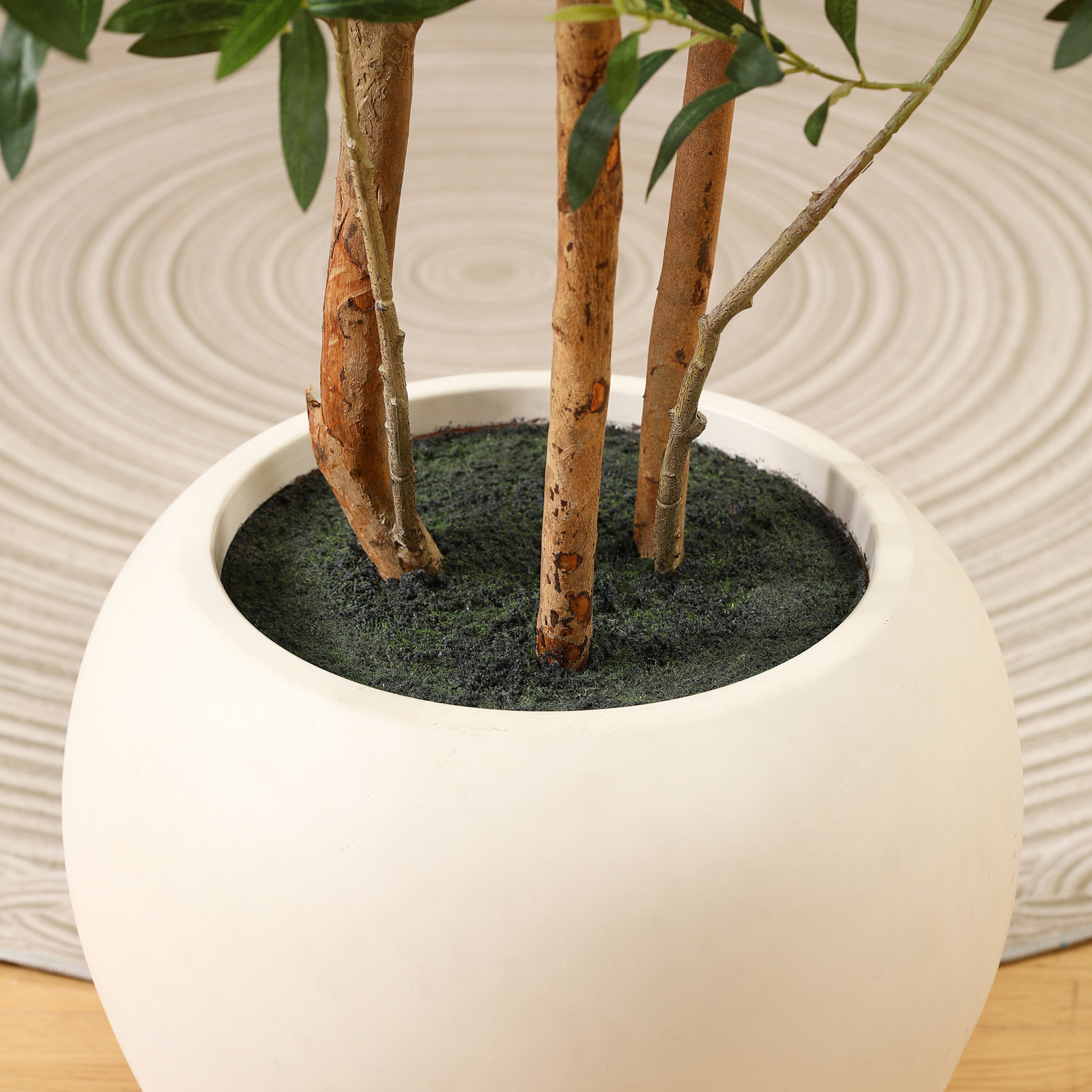 George 96" Olive Tree in Planter
