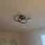 Photos des clients 1 de 1