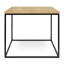 Linkous Frame End Table-22047079-22047078