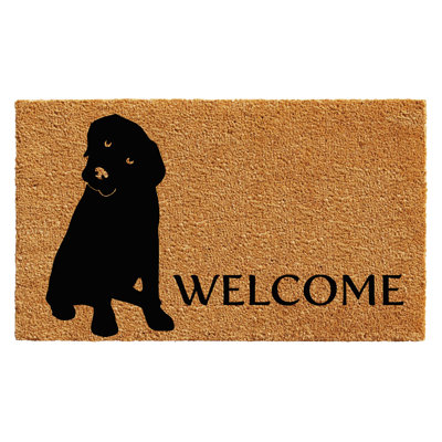 Carlaya Non-Slip Outdoor Doormat