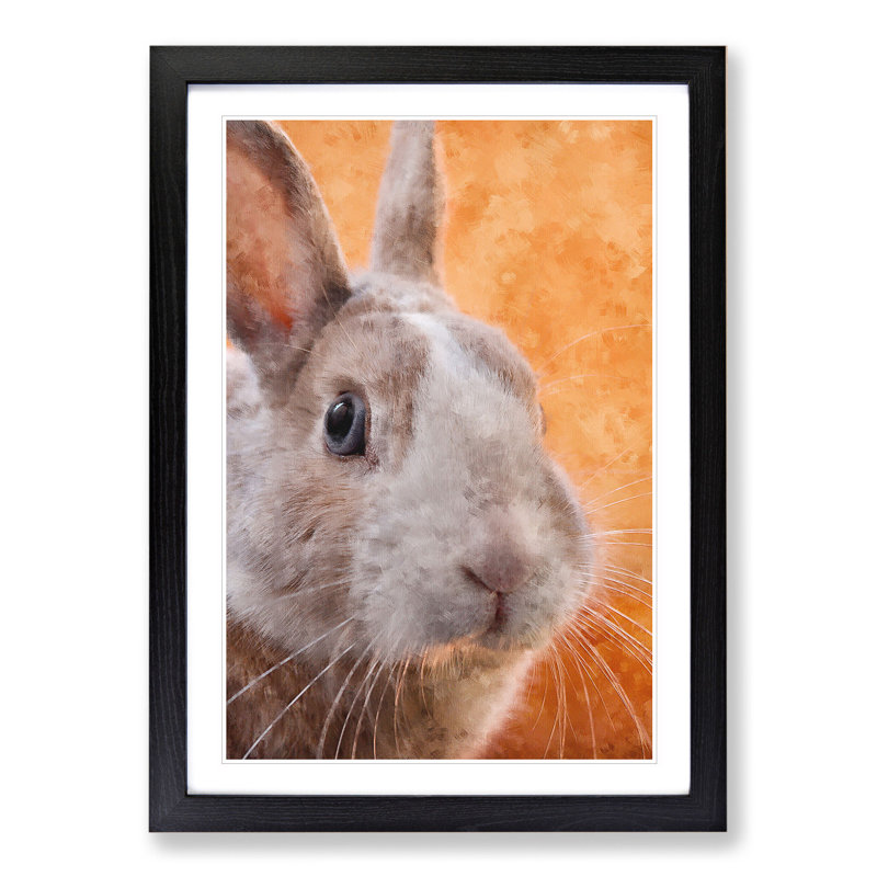 Bunny Rabbit in Colour - Picture Frame Graphic Art, 36cm H x 27cm W x 2cm D, Black Framed