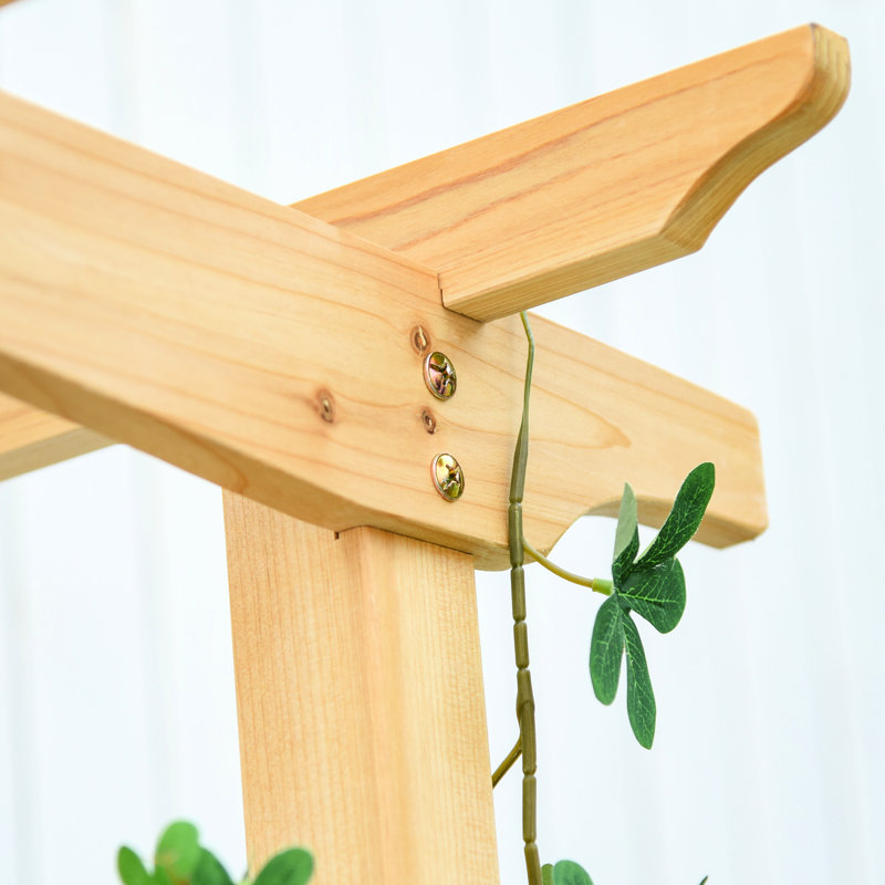 Banc de jardin et arche en bois naturel - Créez un cadre extérieur serein avec de magnifiques raisins