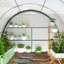 10 Ft W x 13 Ft D Polytunnel Greenhouse