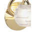 Vena Armed Sconce-33765339