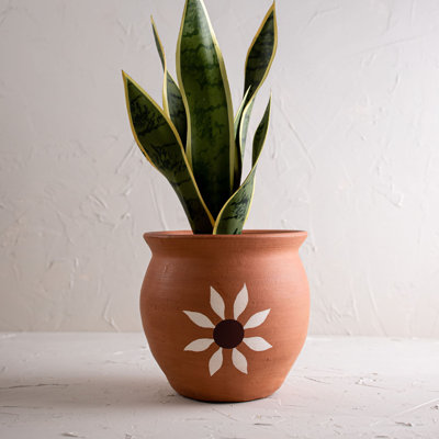 Handmade Pot Planter