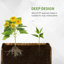 Planter Box