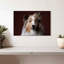 Adorable Sheltie-353249823