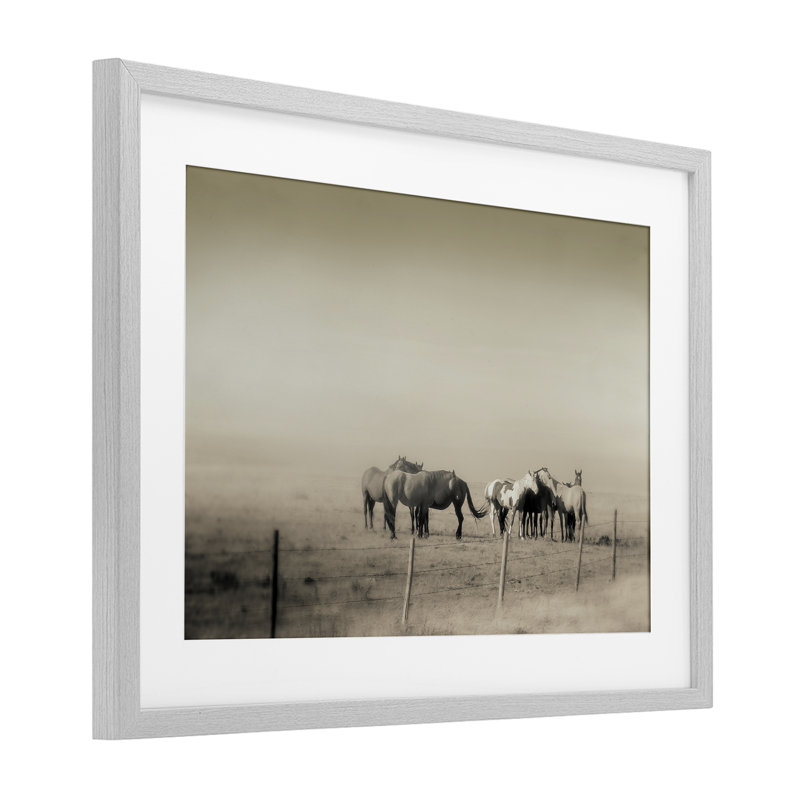 The Herd Monochrome Horses Framed Print Under Glass, design by Roberta Murray, 17" H x 23" W, Farmhouse Grey Frame