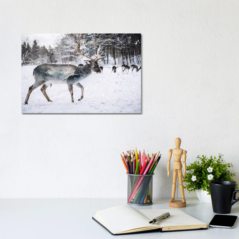 Winter Deer II by Paul Haag - Print on Canvas, Wrapped Canvas, 20.32 cm H x 30.48 cm W