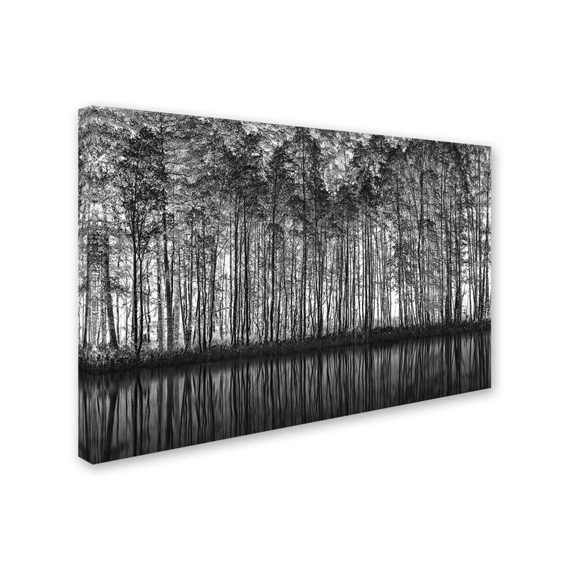 « pointillism nature », reproduction de photo sur toile tendue, H 12 po x l 19 po