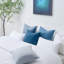 Ensemble de 4 coussins décoratifs en velours, couleurs contrastantes-114187994-117223417
