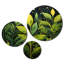 Plants & Flowers Wall Decor on Metal