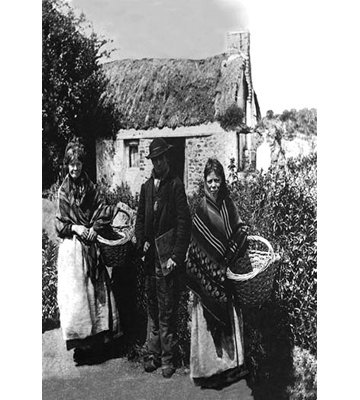 " Irish Peasants "