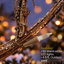 Renne lumineux-1621983043