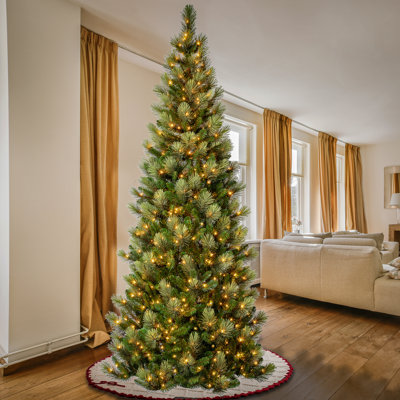 Charleston Pine Slim Tree with Clear Lights