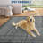 Machine Washable Area Rugs for Living Room Modern Geometric Non Slip Floor Carpet Rugs for Bedroom Nursery-716828771-716828772
