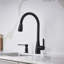 Atura Pull-Down Dual-Spray Bar Faucet-66477605