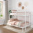 Standard Bunk Bed with Ladder on End-1731963497-1731963498